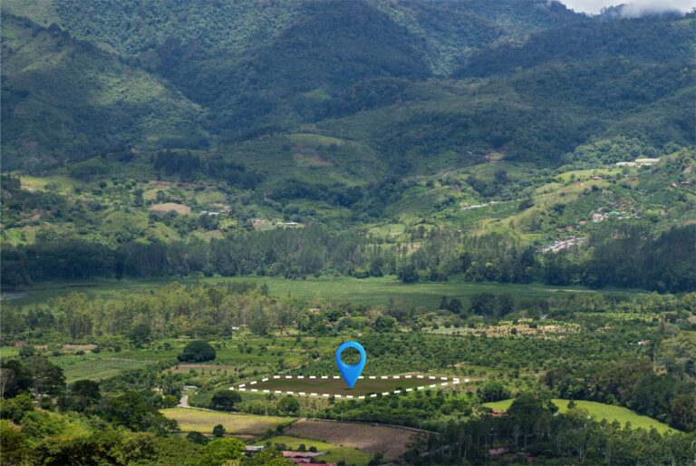 view-land-plot-real-estate-business-development