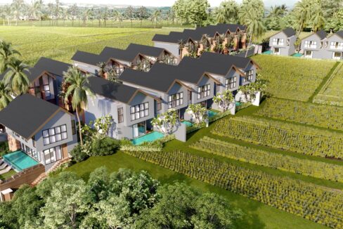 2 BR Villa For sale near Ubud (12)