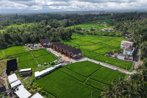 2 BR Villa For sale near Ubud (3)