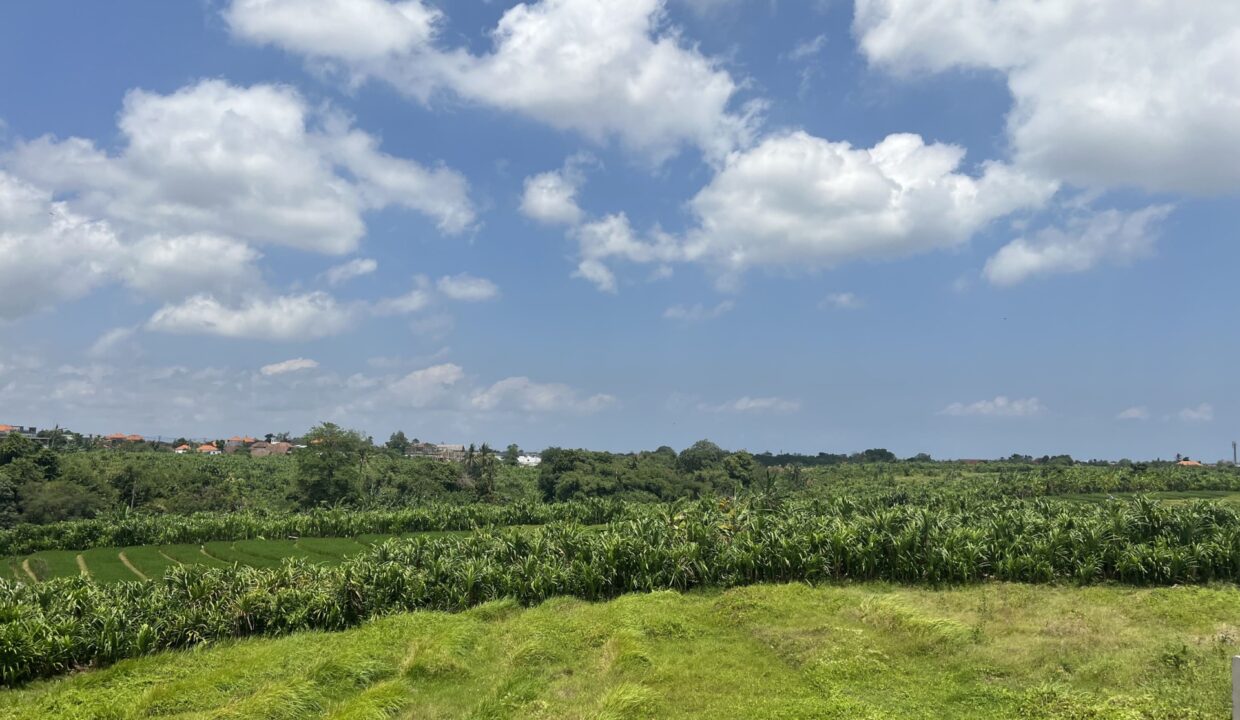 4-Bedroom Villa for a Spacious Living in Canggu (19)