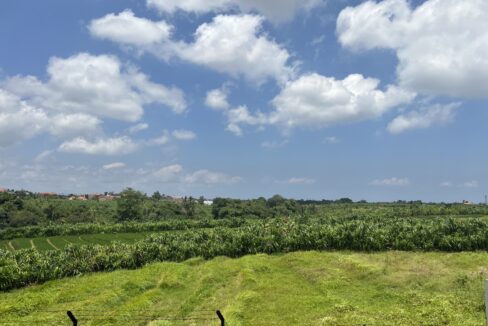 4-Bedroom Villa for a Spacious Living in Canggu (19)