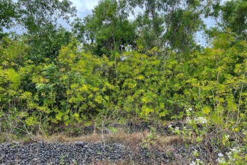 Available Beautiful Land For 30 Years Leasehold In Nusa Ceningan Island (5)