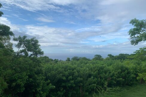 Beautiful land for Sale Leasehold in Peaceful area of Nunggalan Beach – Uluwatu (7)