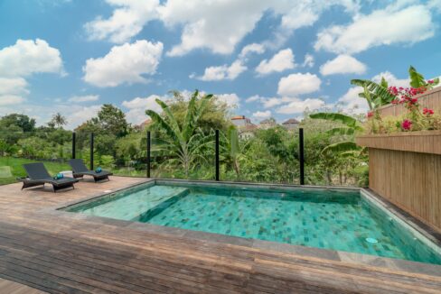 Brand New 3-Bedroom Villa in the Serene Canggu North (2)