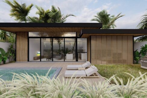 Charming Middle Century Modern Villa for Lease (2)