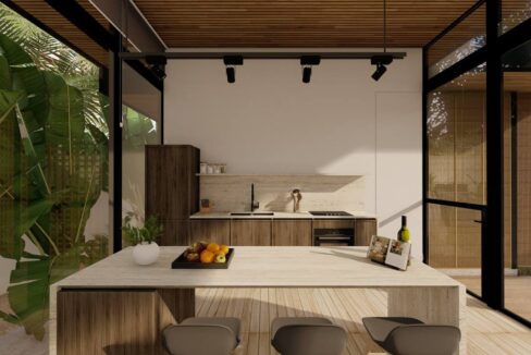 Charming Middle Century Modern Villa for Lease (5)