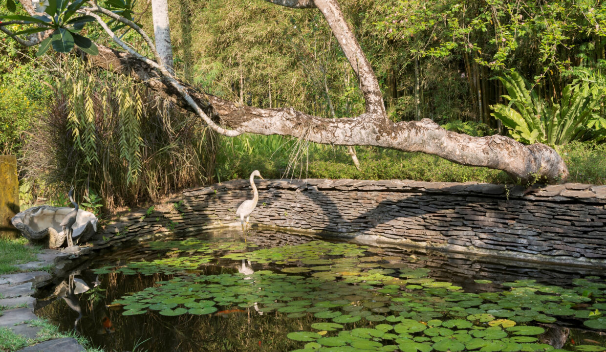 Discover The Ultimate Tranquil Heaven Sanctuary In Cepaka Tabana (26)