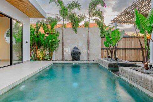 Exquisite Tropical Two Bedroom Villa in Sanur (3)