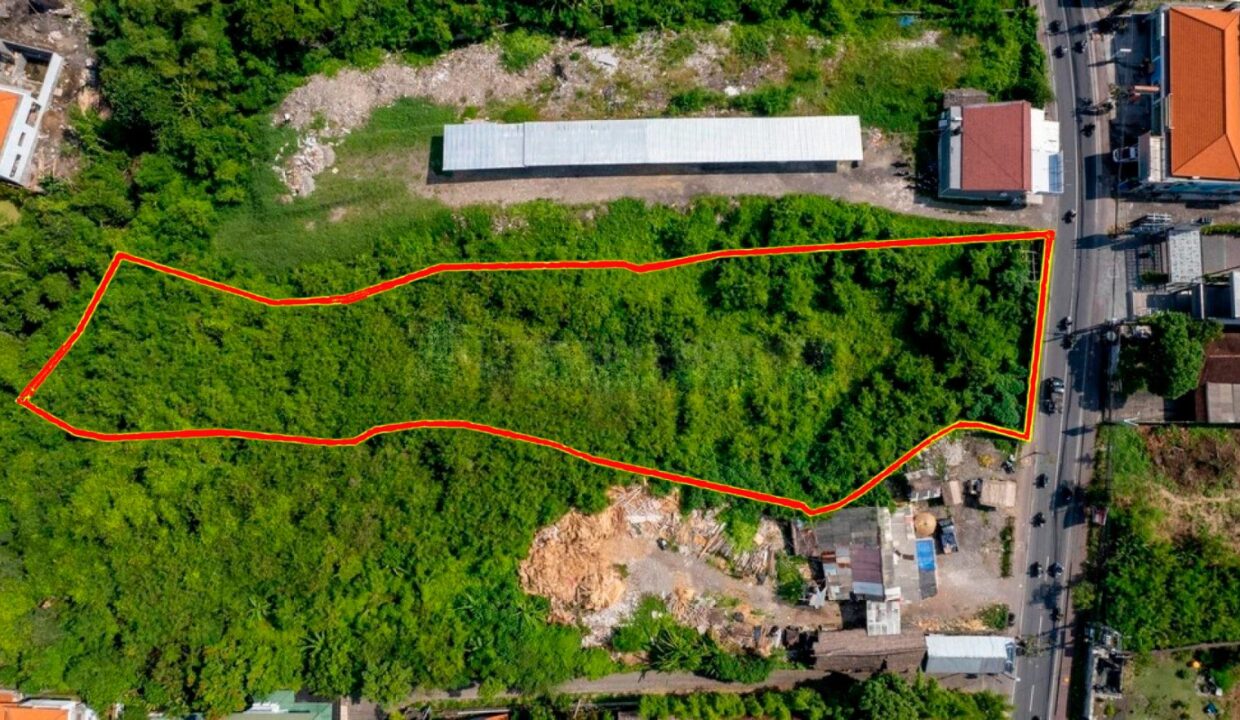 Land For Sale In Batu Bolong Canggu (1)