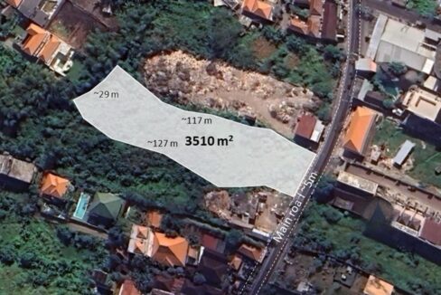 Land For Sale In Batu Bolong Canggu (2)