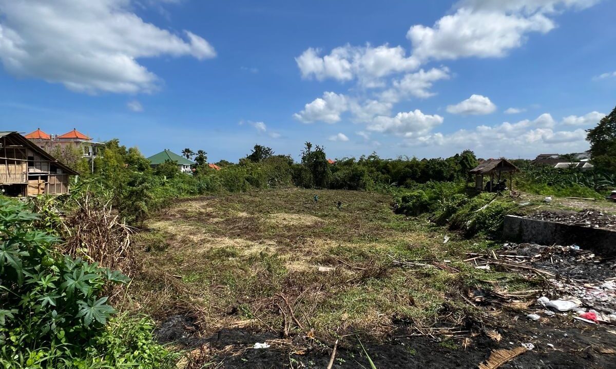Land For Sale In Batu Bolong Canggu (4)