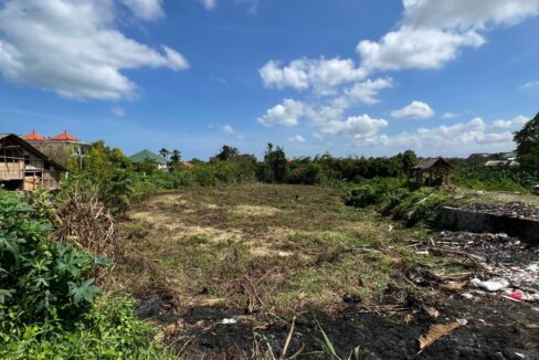 Land For Sale In Batu Bolong Canggu (4)