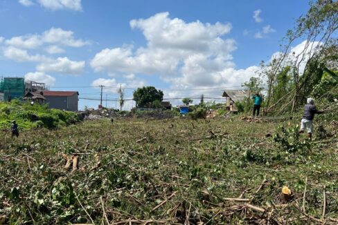 Land For Sale In Batu Bolong Canggu (6)