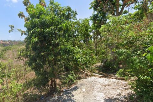 Land for Sale in Bukit with HGB Tittle (2)