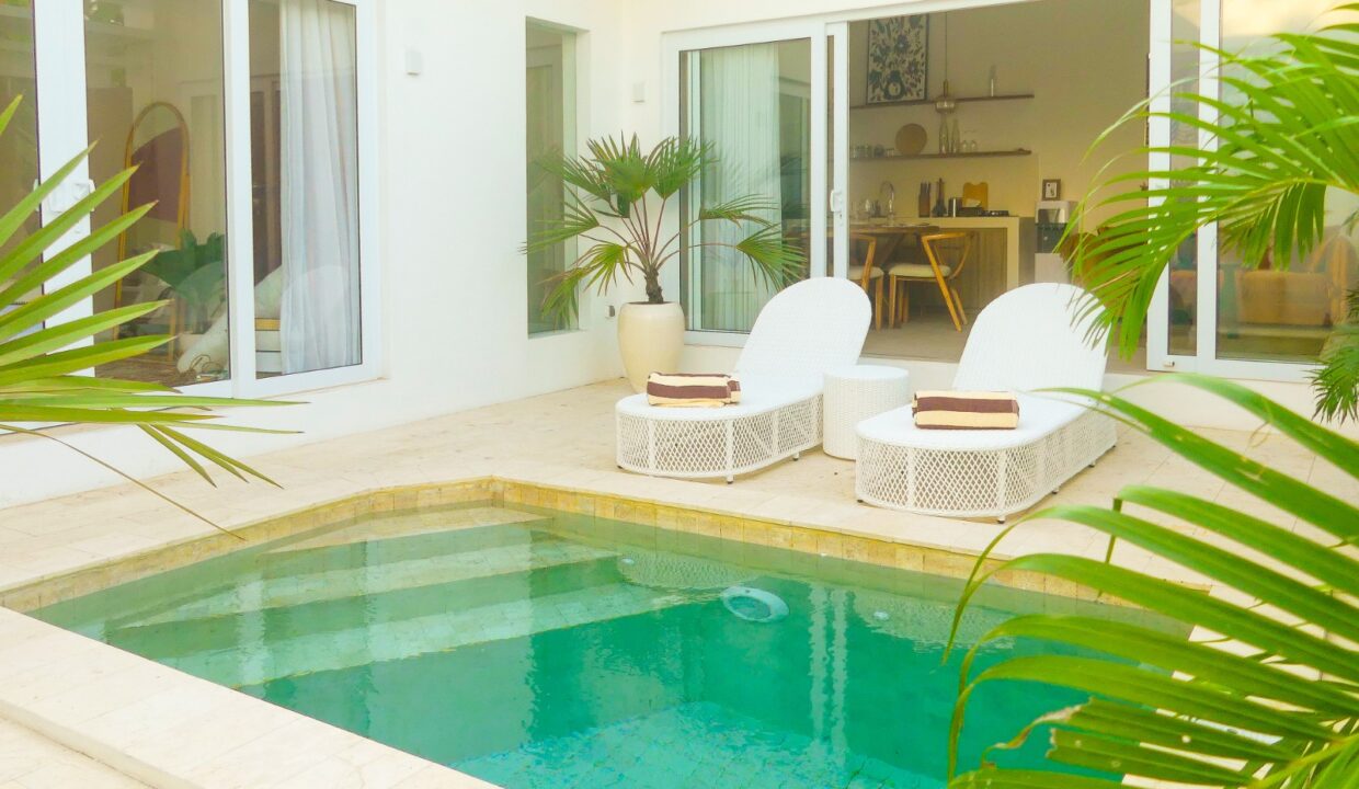 One Bedroom Villa with Office Space in Canggu (4)