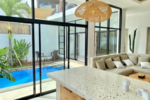 Spacious 2-Bedroom Villa with Modern Amenities in Babakan Canggu (4)