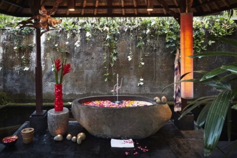 A Private Luxurious 4 Bedroom Villa with a Magnificent View of Ubud (1)