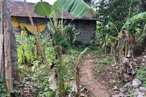 Discover Charming Rectangular Plot In Peaceful Scenic Cepaka - Tabanan (5)