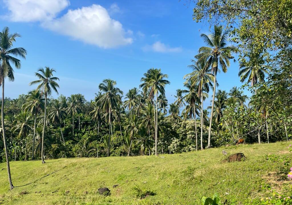 Freehold Land for Sale, Tabanan (8)