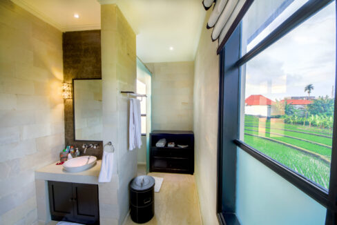 Luxurious Residences, Including Office For Sale In Canggu (18)