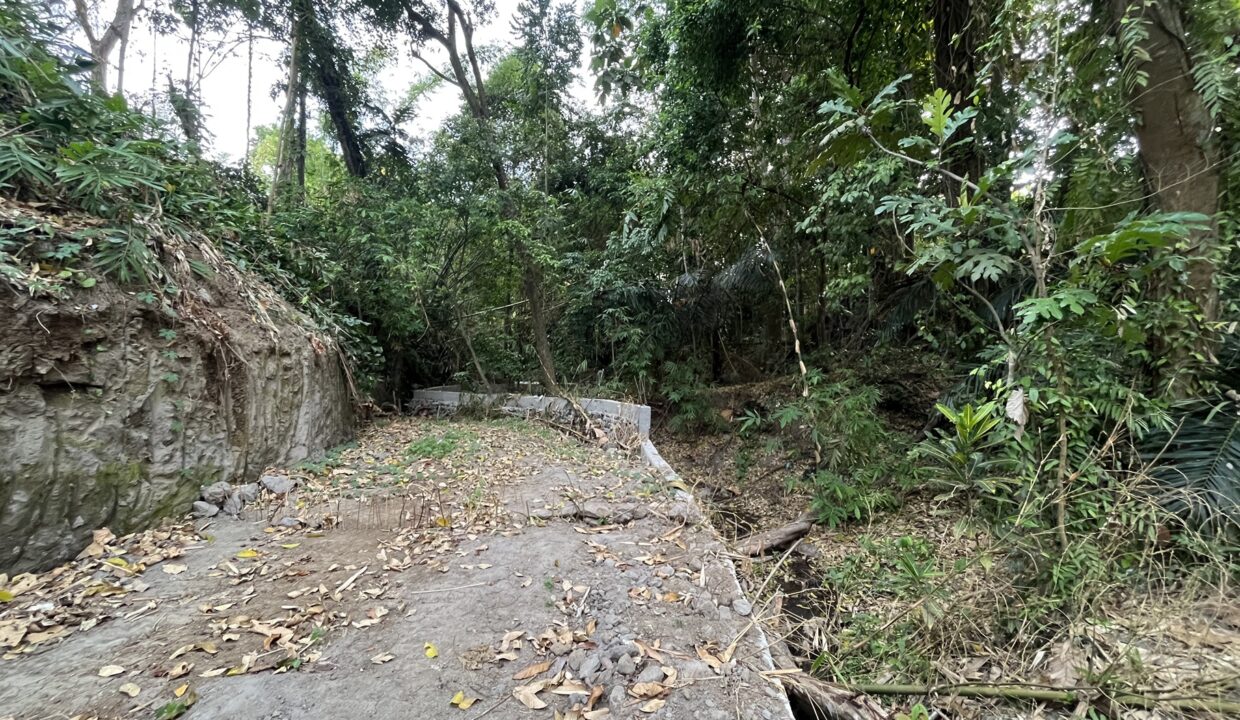 Rare Piece of Land In Tumbak Bayuh (3)