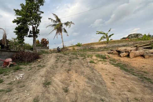 Rare Piece of Land In Tumbak Bayuh (6)