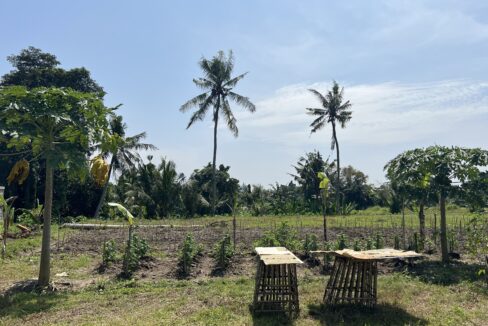 1. Leasehold land in Batuan, Gianyar