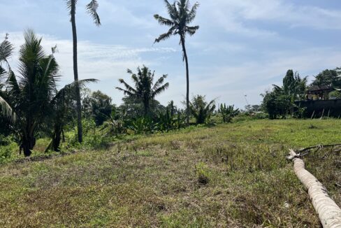 3. Leasehold land in Batuan, Gianyar