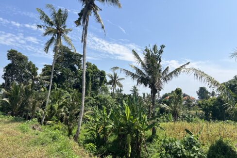 5. Leasehold land in Batuan, Gianyar