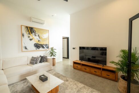 9. Luxury Brand New Villa, Pererenan