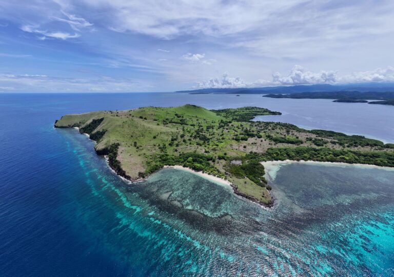 DJI_20250125110000_0002_D