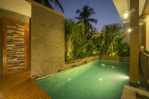 Charming 1-Bedroom Villa for Sale Near Ubud Center (11)