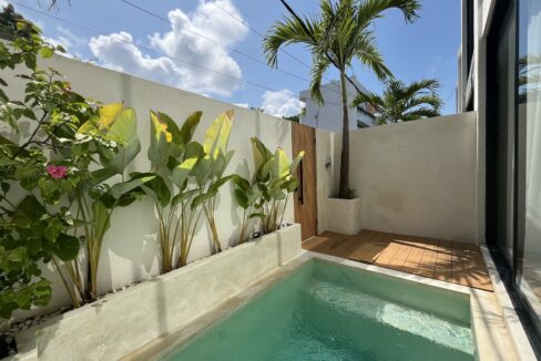 Modern Living Near Melasti Beach (2)