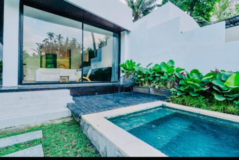 Brand New Two Units 1 Bedroom Modern Riverside Villa for Sale in Ubud (13)