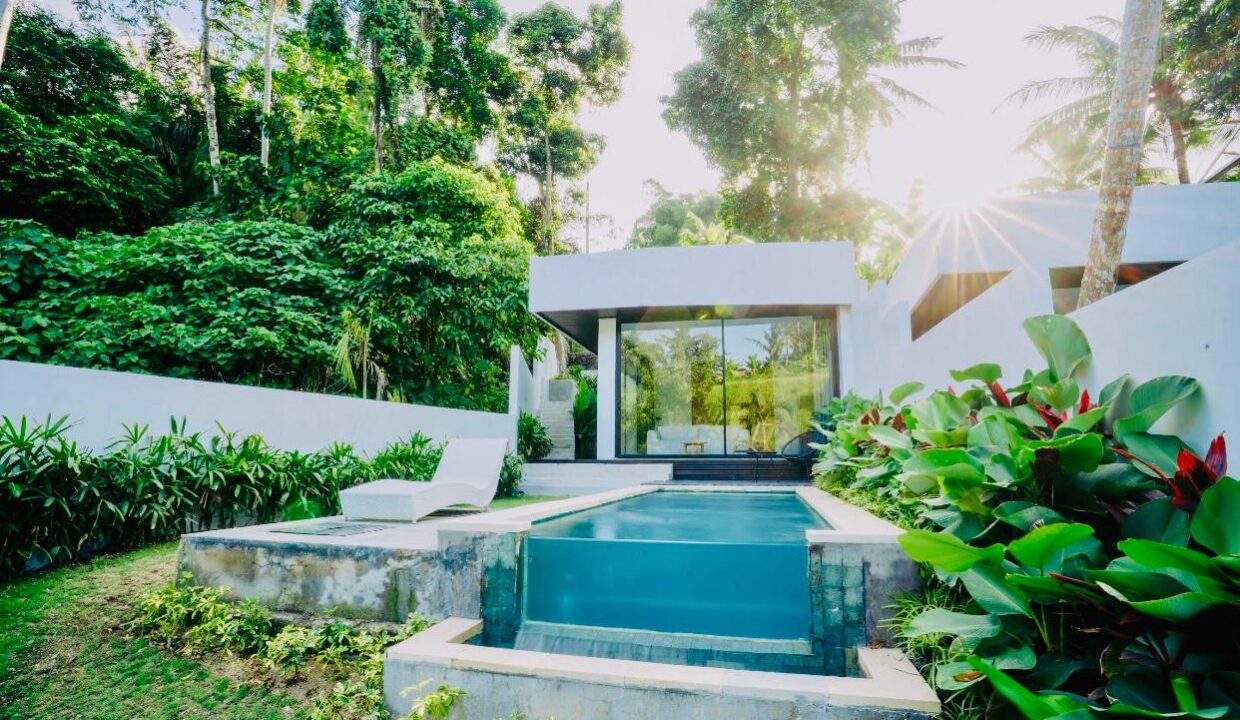 Brand New Two Units 1 Bedroom Modern Riverside Villa for Sale in Ubud (2)