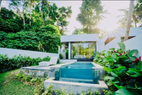 Brand New Two Units 1 Bedroom Modern Riverside Villa for Sale in Ubud (2)