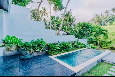 Brand New Two Units 1 Bedroom Modern Riverside Villa for Sale in Ubud (3)