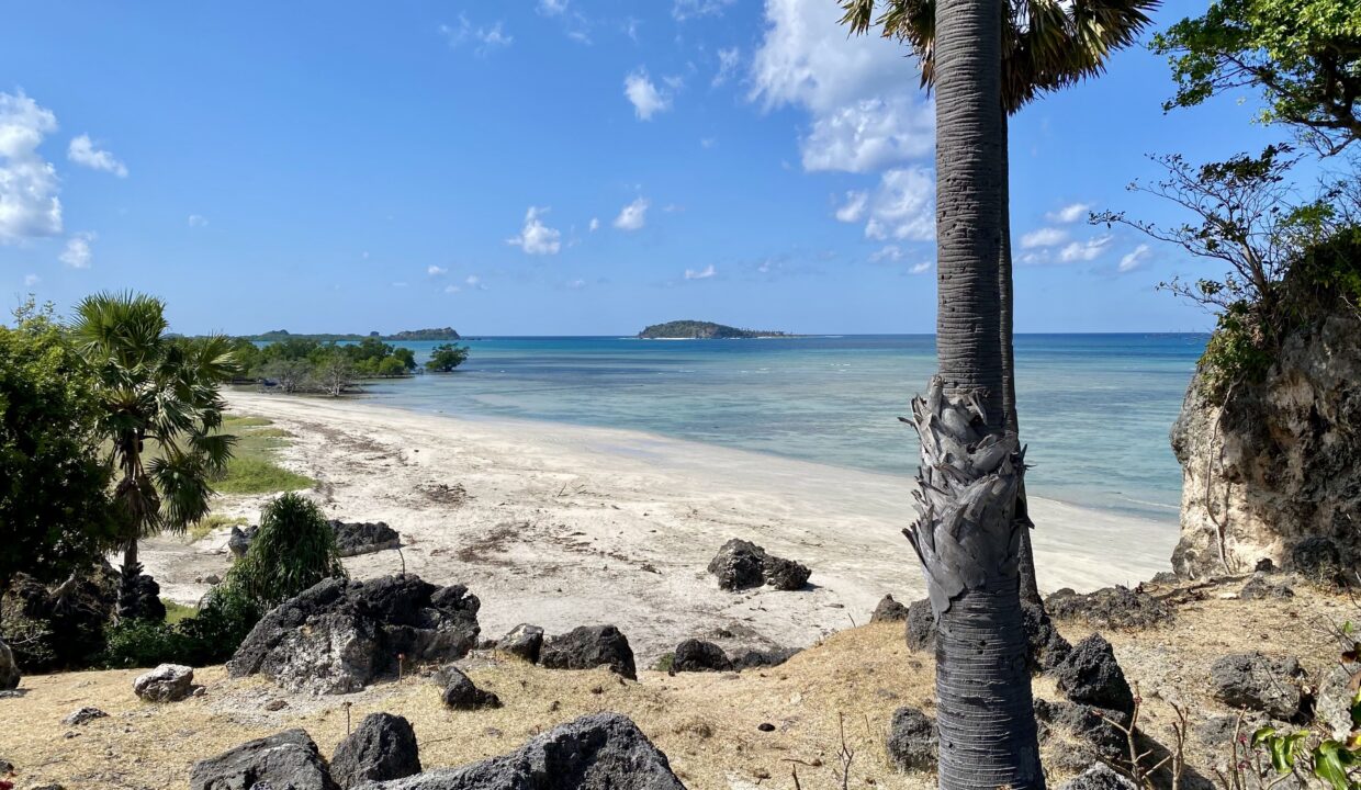 Beachfront Land Investment Opportunity in Rote Island (1)