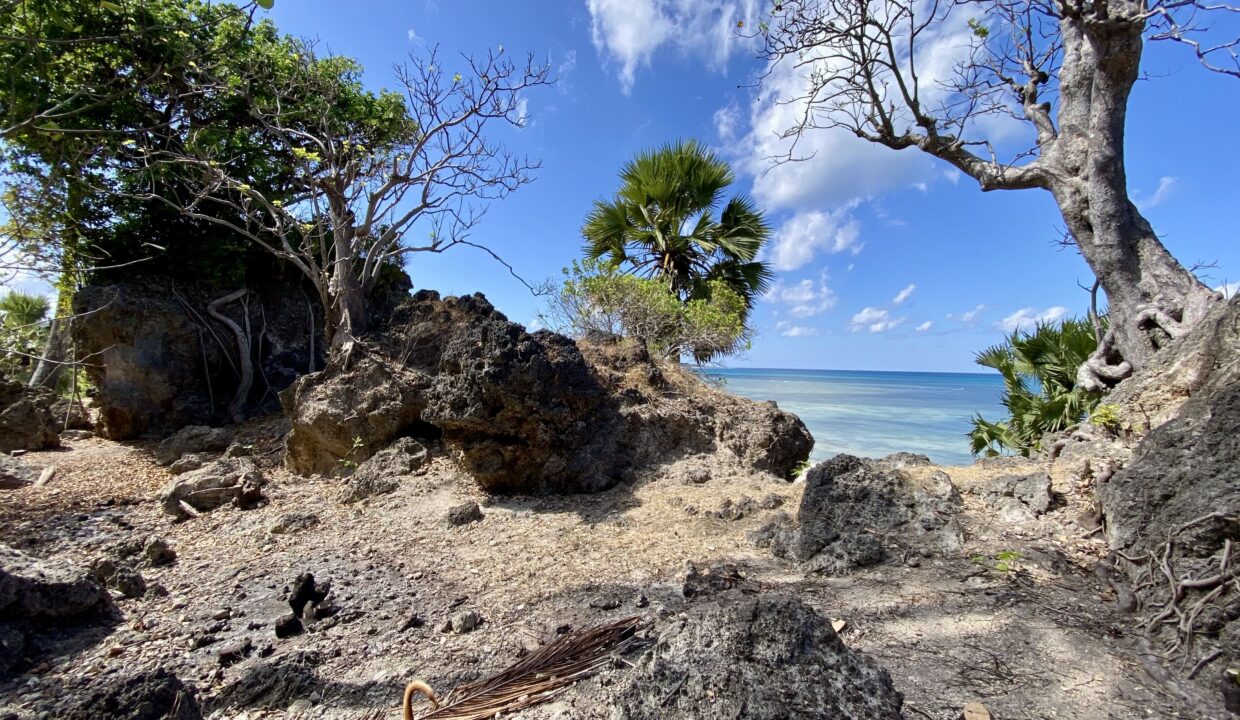 Beachfront Land Investment Opportunity in Rote Island (2)