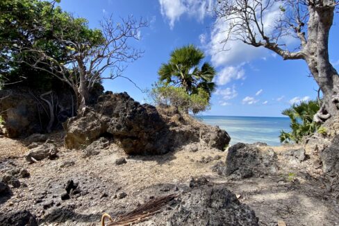 Beachfront Land Investment Opportunity in Rote Island (2)