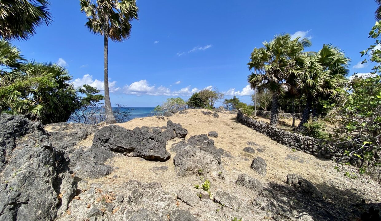 Beachfront Land Investment Opportunity in Rote Island (3)