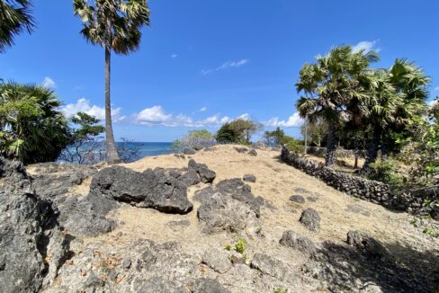 Beachfront Land Investment Opportunity in Rote Island (3)