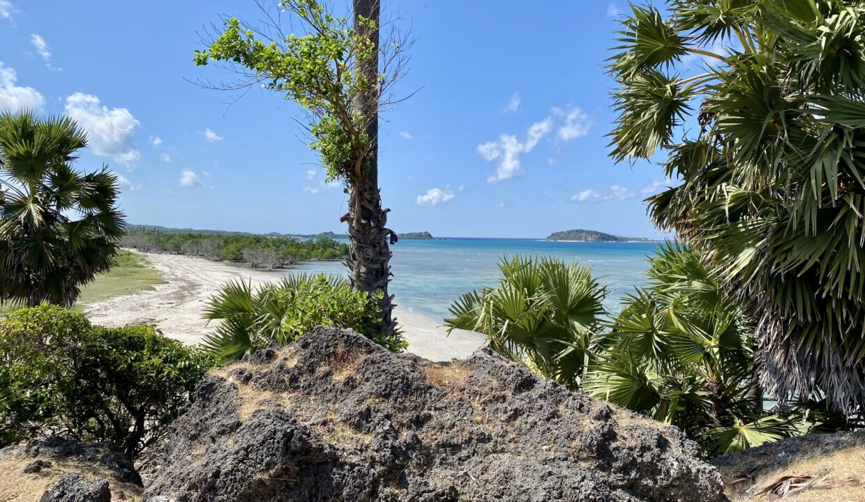 Beachfront Land Investment Opportunity in Rote Island (4)