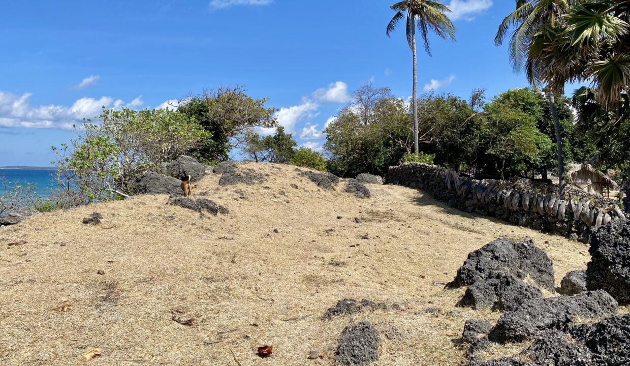 Beachfront Land Investment Opportunity in Rote Island (5)