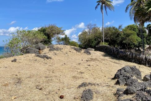 Beachfront Land Investment Opportunity in Rote Island (5)