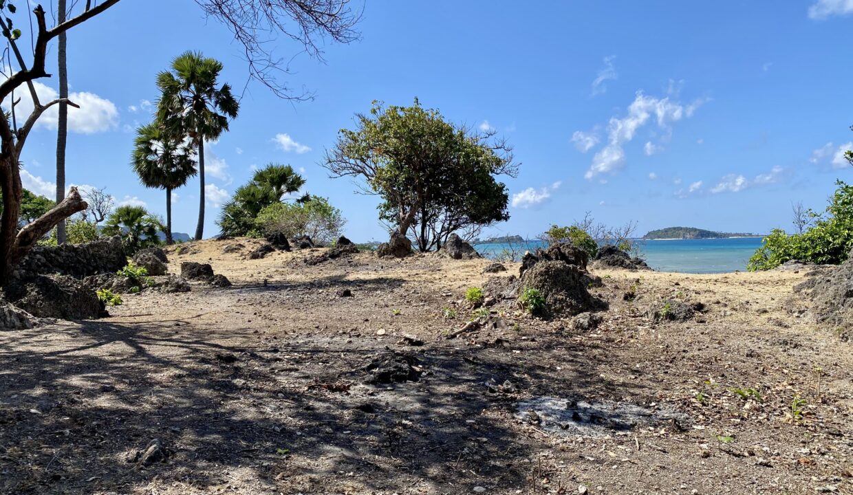 Beachfront Land Investment Opportunity in Rote Island (6)