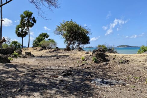 Beachfront Land Investment Opportunity in Rote Island (6)
