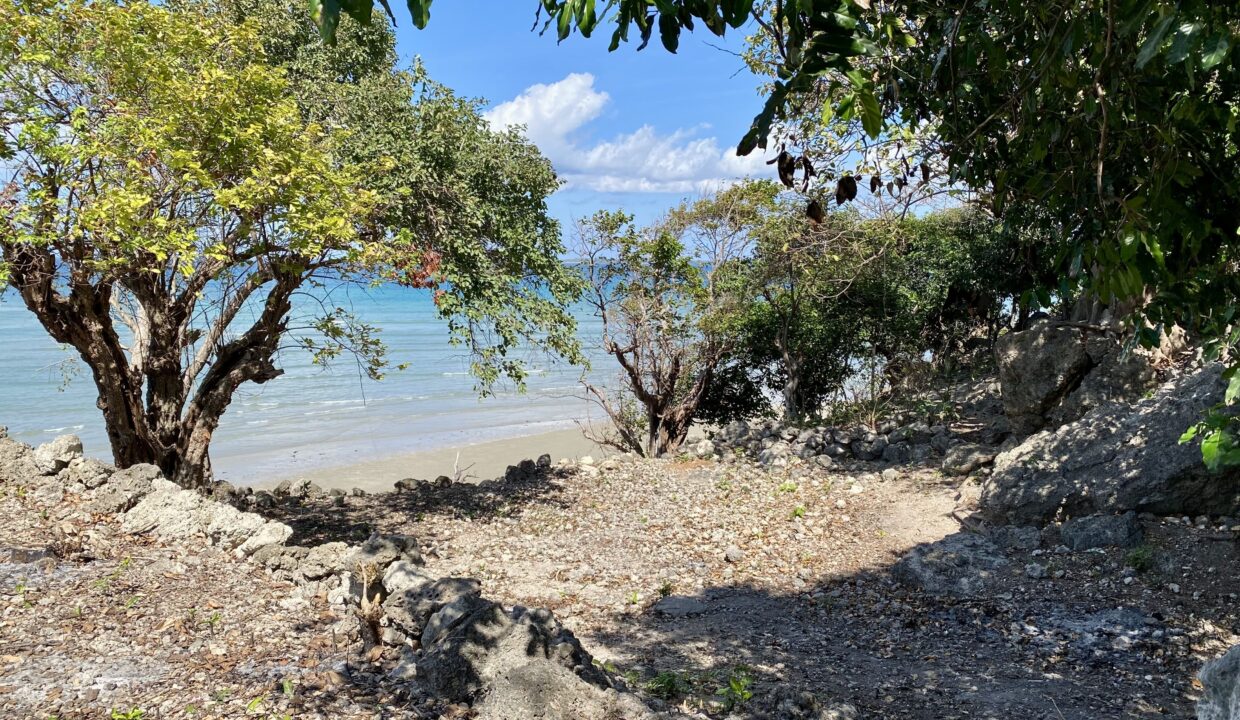 Beachfront Land Investment Opportunity in Rote Island (7)