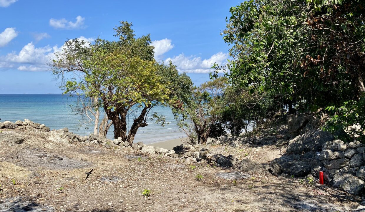 Beachfront Land Investment Opportunity in Rote Island (8)