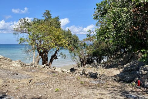 Beachfront Land Investment Opportunity in Rote Island (8)